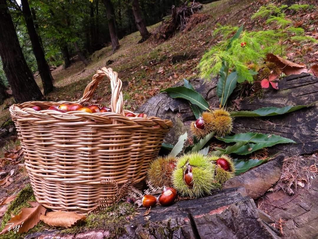 Agriturismo Prato Del Re Prignano sulla Secchia Zewnętrze zdjęcie
