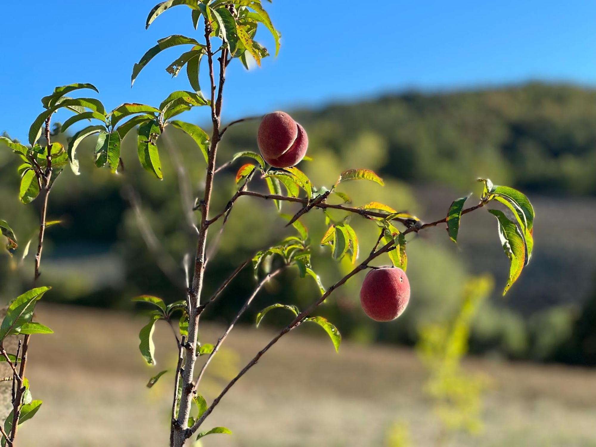 Agriturismo Prato Del Re Prignano sulla Secchia Zewnętrze zdjęcie